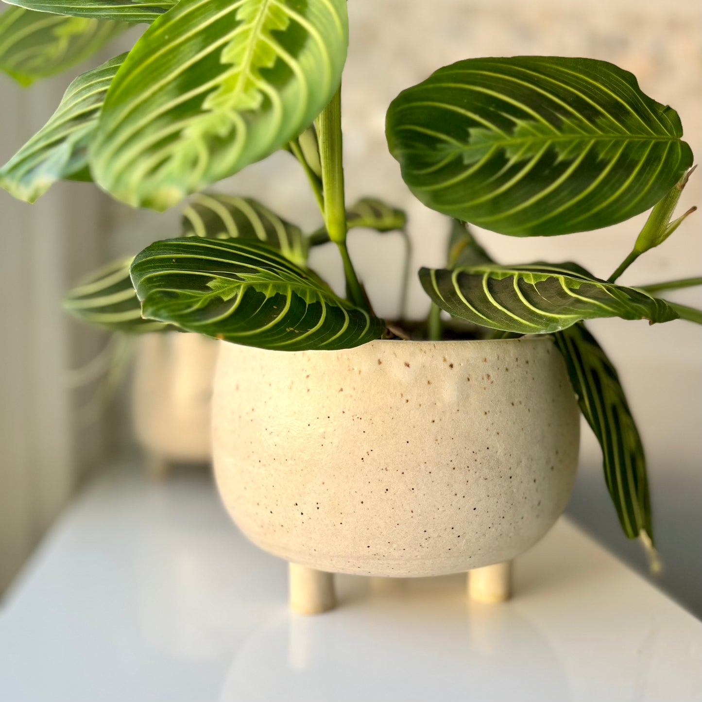 Windansea Tripod Planter Medium