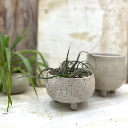 plant pots san diego Windansea Tripod Planter Medium