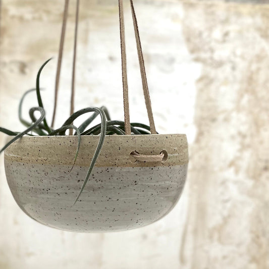 Windansea Hanging Planter